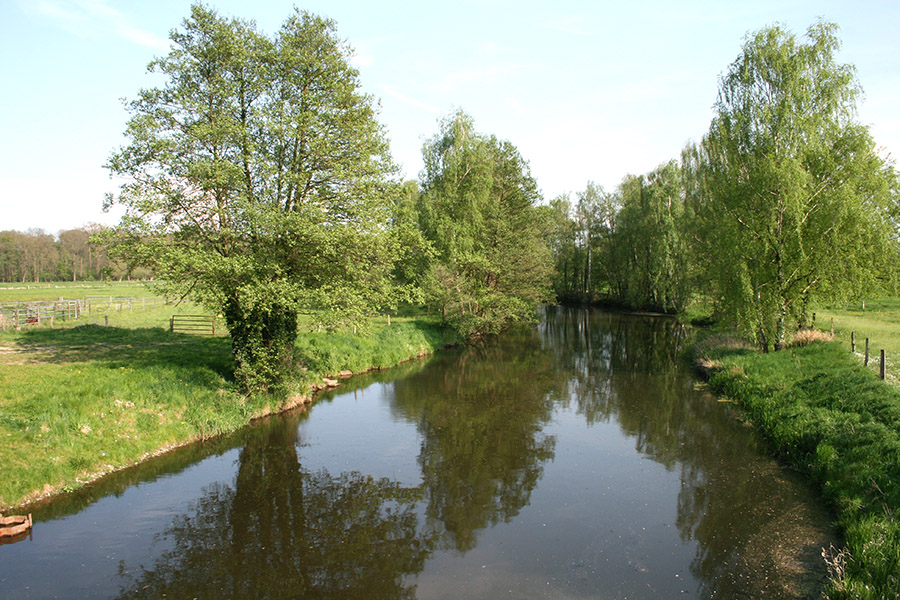 Foto: Ralf Engelkamp