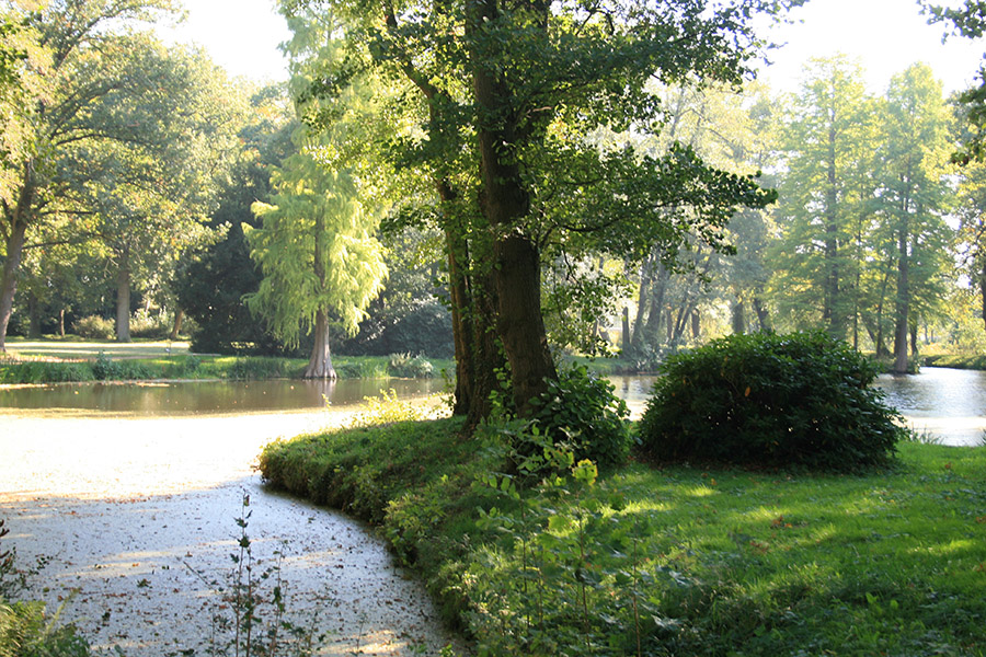 Foto: Ralf Engelkamp