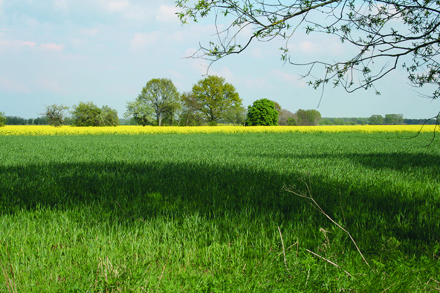 Foto: Ralf Engelkamp