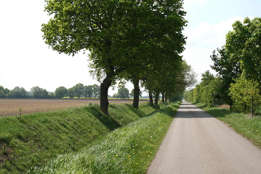 Foto: Ralf Engelkamp